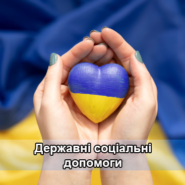 Державні соціальні допомоги